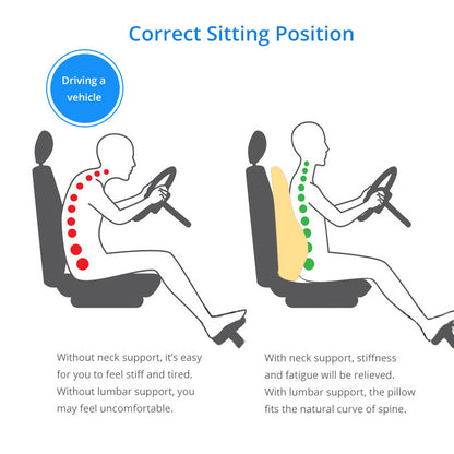 Universal Lumbar Support Cushion For Car | Back Posture Support